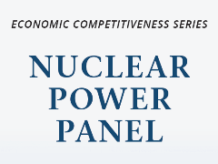 Nuclear Power Panel
